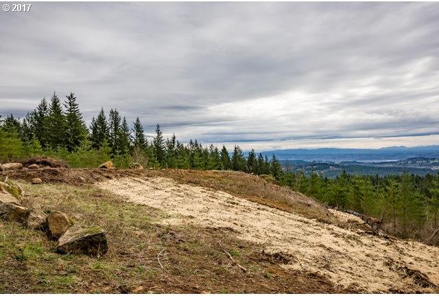 28303 Northeast Hancock Road Camas, WA 98607 - Photo 5 of 9 Gallery Image 5