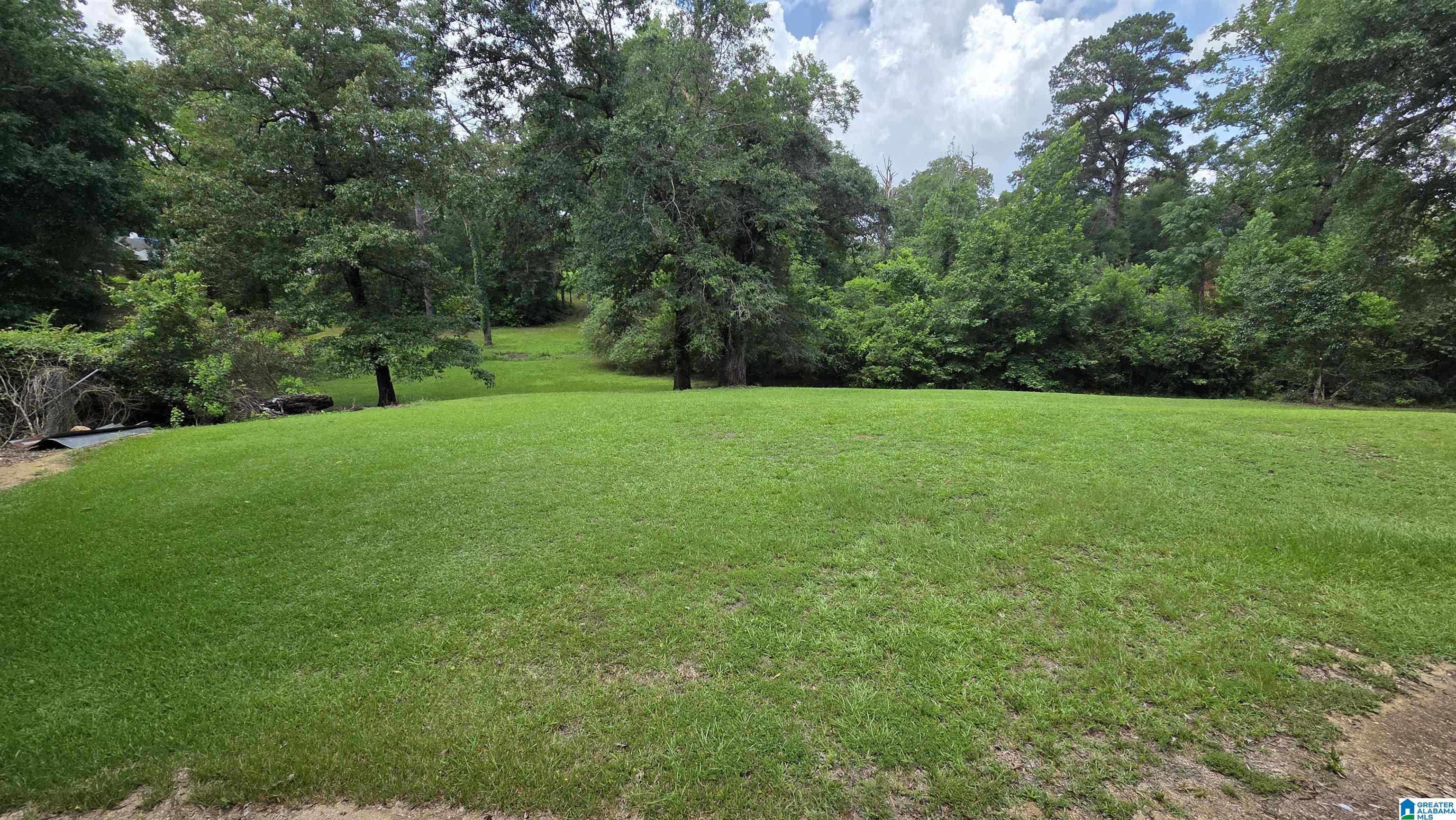 225 Wintergreen Road Valley Grande, AL 36703 - Photo 17 of 19