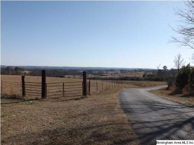 New Prospect Church Road, Unit 16 Horton, AL 35980 - Photo 13 of 20