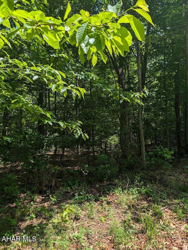 0 Mosquito Hollow Road Six Mile Run, PA 16679 - Photo 28 of 29