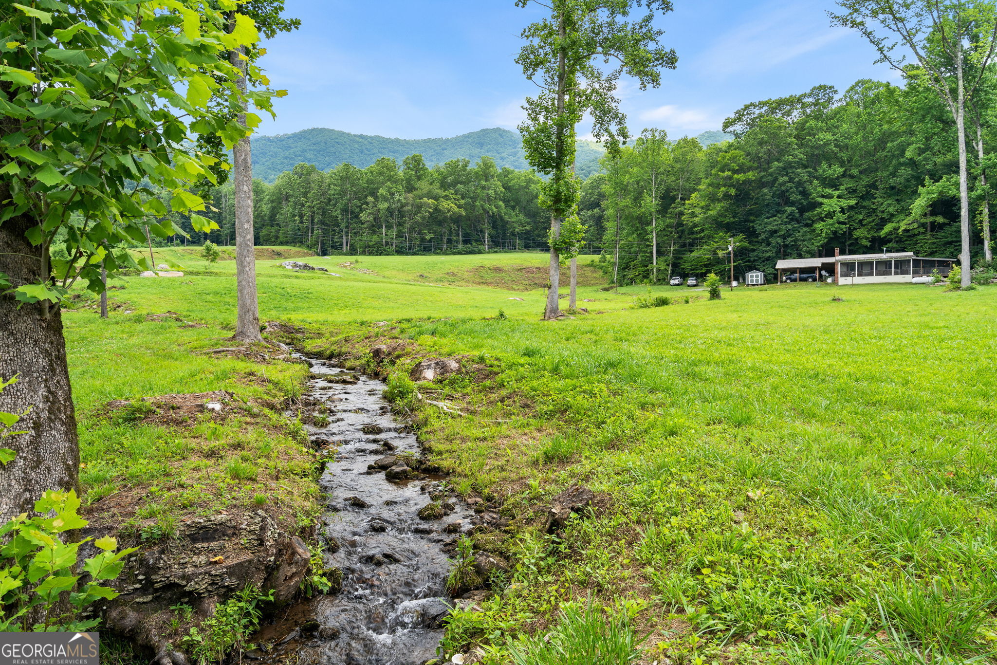 1449 Muskrat Creek Road Hayesville, NC 28904 - Photo 54 of 67