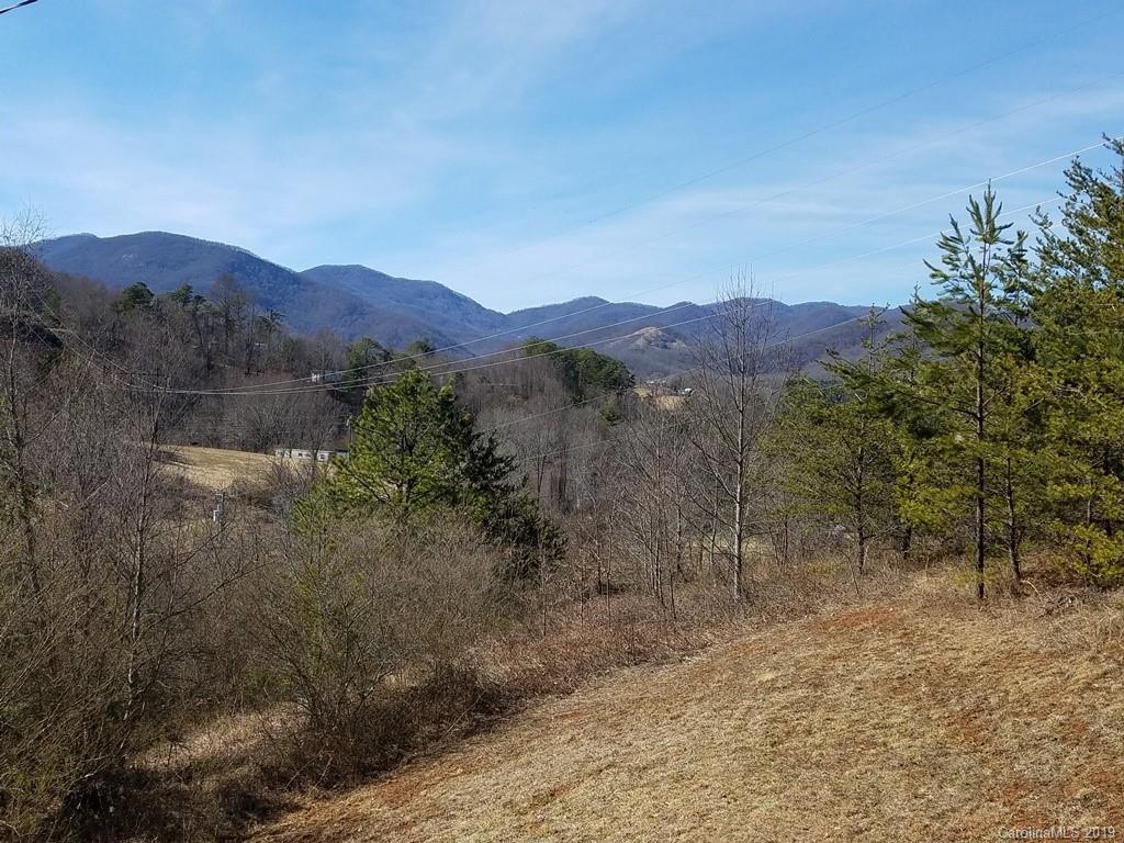 76 Hayes Cove Road Leicester, NC 28748 - Photo 3 of 12 Gallery Image 3