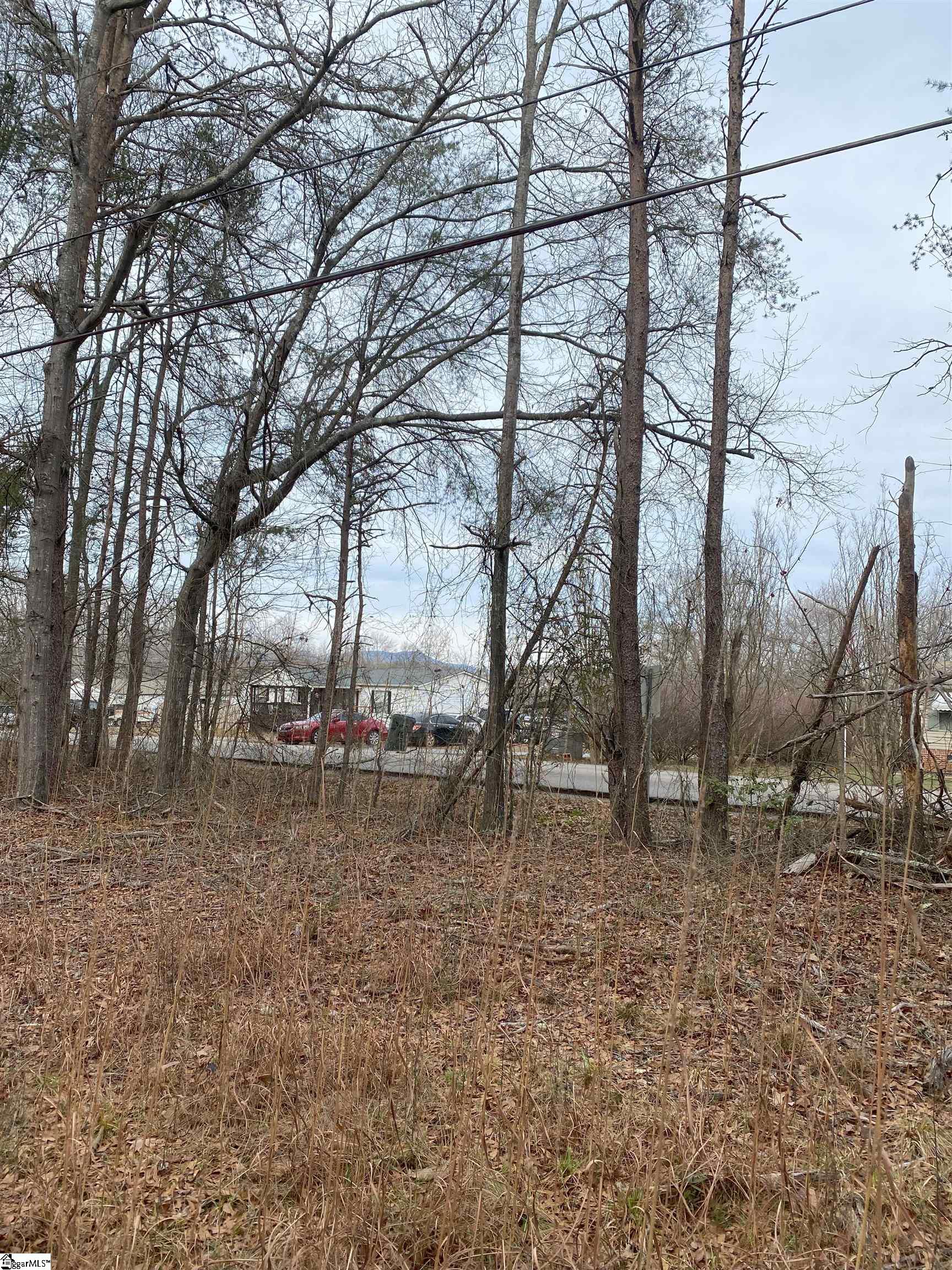 1675 South McElhaney Road Greer, SC 29651 - Photo 3 of 9 Gallery Image 3