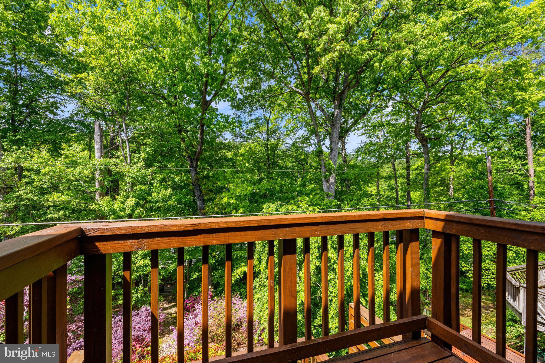 7961 Hidden Bridge Drive Springfield, VA 22153 - Photo 40 of 53