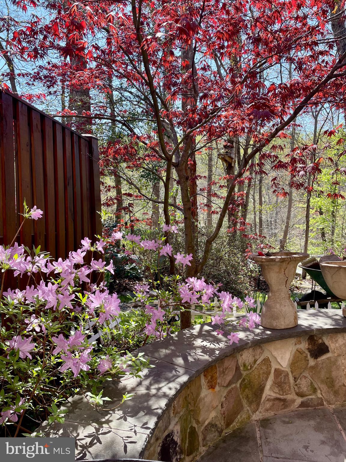 7961 Hidden Bridge Drive Springfield, VA 22153 - Photo 42 of 53