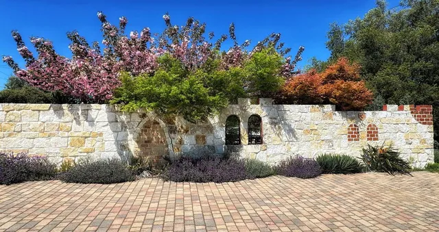 a view of a backyard of the house