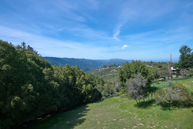 a view of a green field with lots of bushes