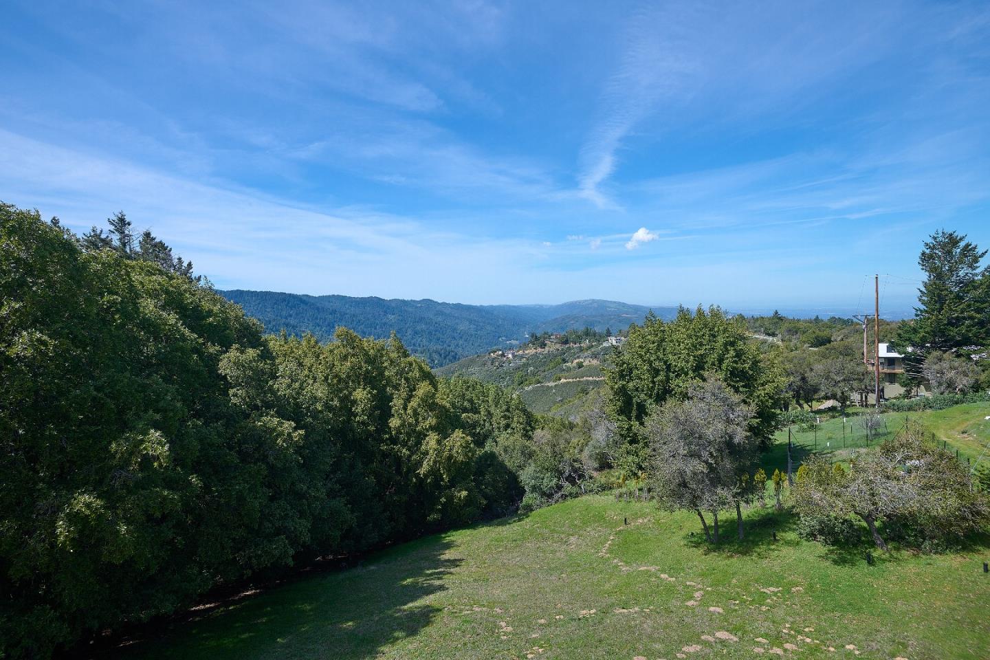 17035 Bohlman Road Saratoga, CA 95070 - Photo 24 of 27 a view of a green field with lots of bushes