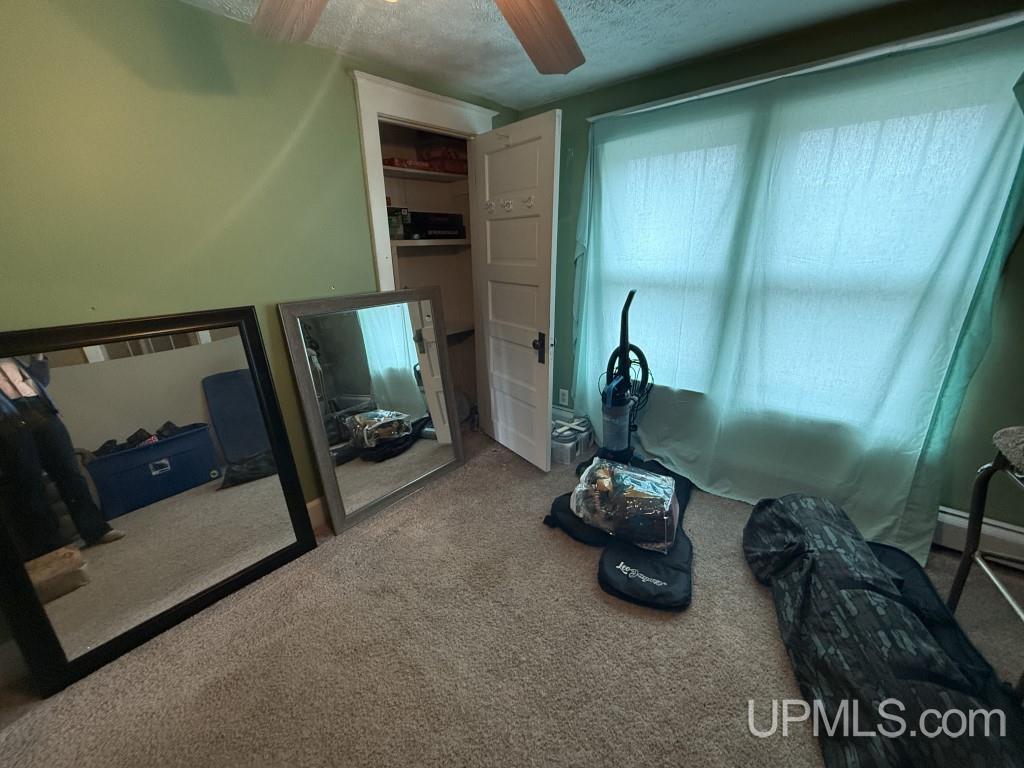 E2903 H44 Road Trenary, MI 49891 - Photo 33 of 47 Gallery Image 33
