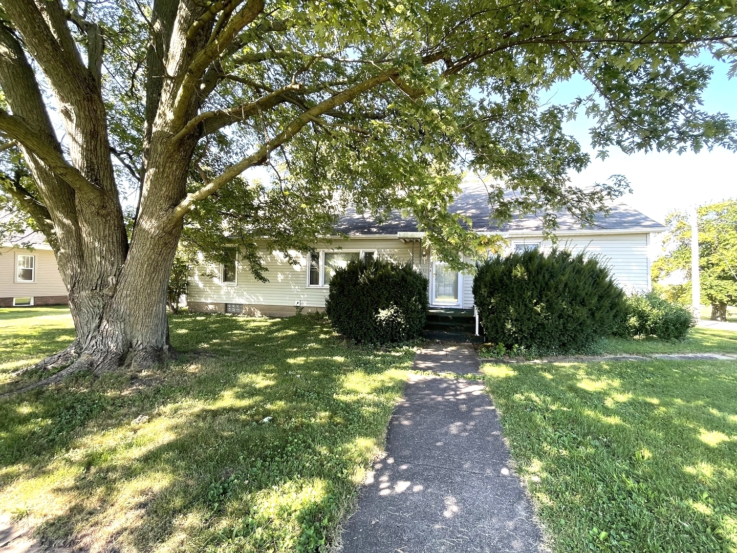a view of a trees in a yard