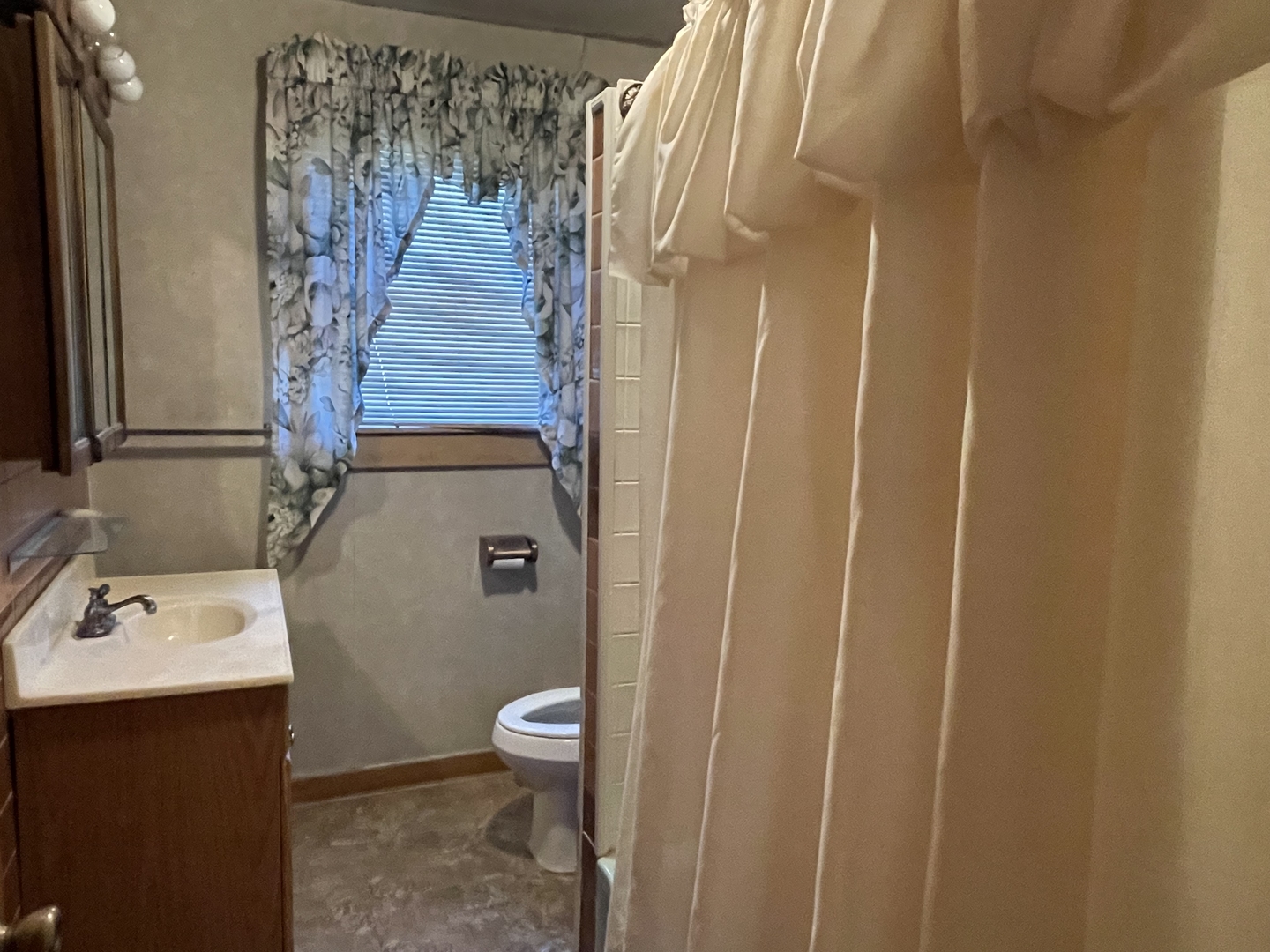 202 South Pleasant Street Rutland, IL 61358 - Photo 8 of 13 a bathroom with a sink and toilet