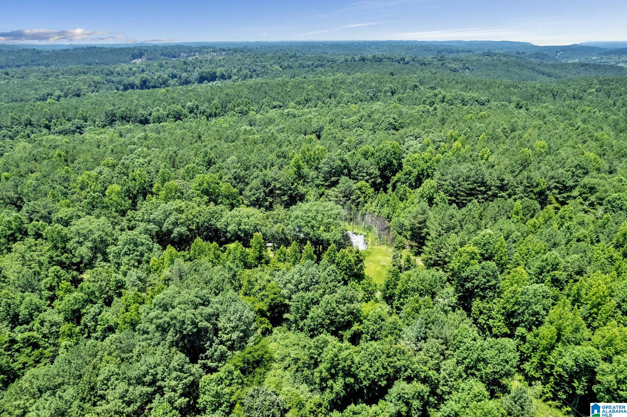 572 Dunn Hill Road Parrish, AL 35580 - Photo 21 of 25
