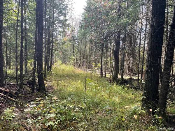 $65,000 | 0 M-28, Newberry, MI 49868