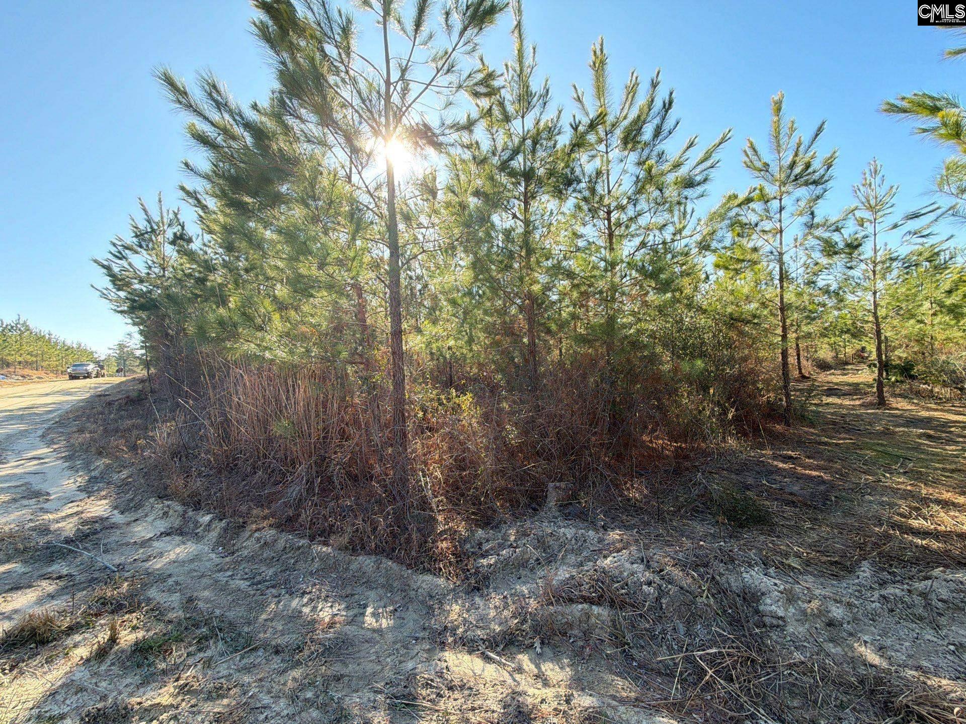 8 Brunson Teal Road, Unit BFF II 8 Patrick, SC 29584 - Photo 20 of 25