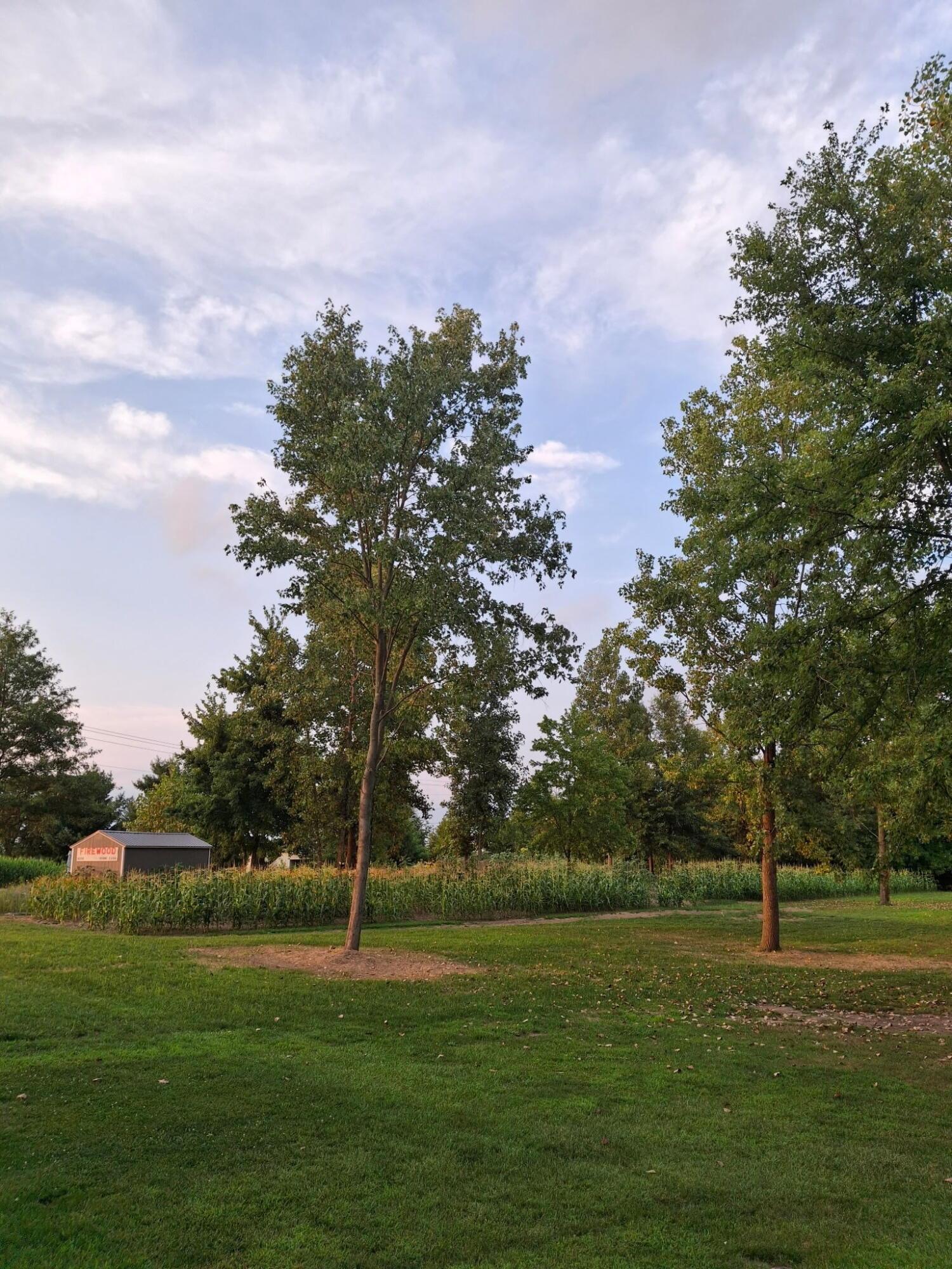 24805 Rapp-Dean Road Raymond, OH 43067 - Photo 14 of 74 4255563133346795154