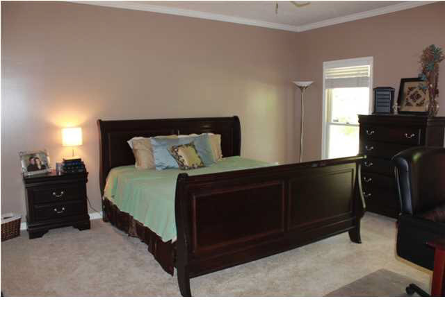 223 Clark Farms Road Madison, MS 39110 - Photo 18 of 33 Master Suite