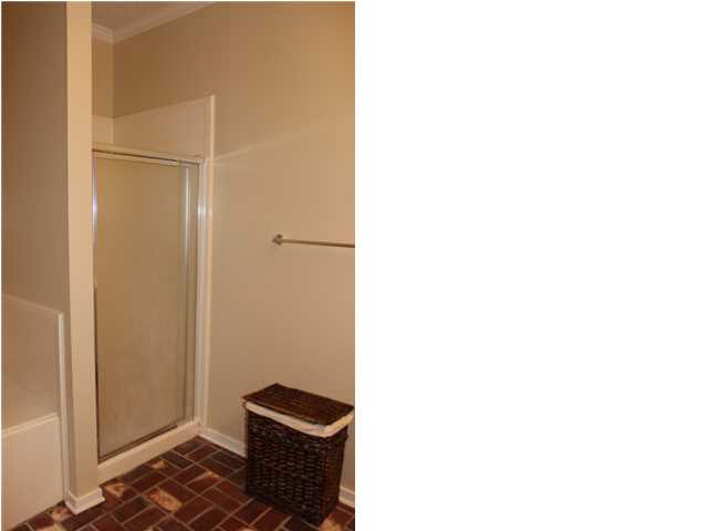 223 Clark Farms Road Madison, MS 39110 - Photo 23 of 33 Master Bath