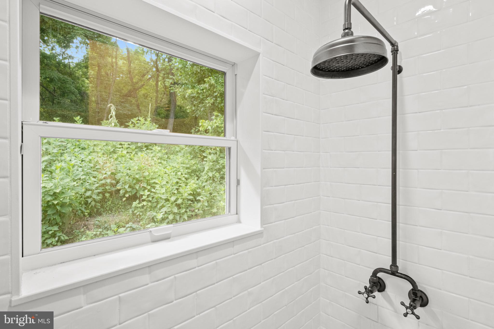 12336 Moss Hollow Road Markham, VA 22643 - Photo 28 of 43 Walk-in shower