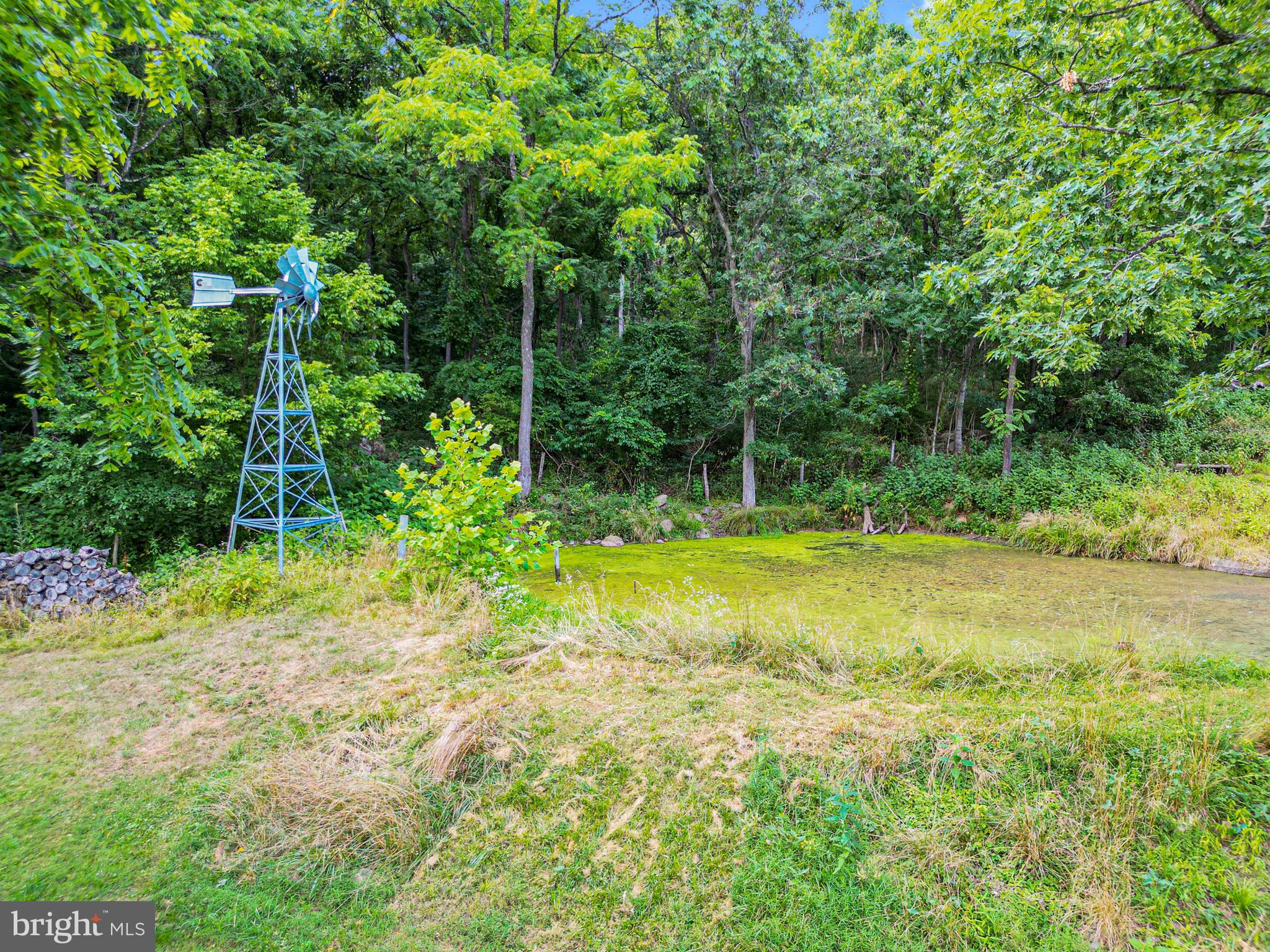 12336 Moss Hollow Road Markham, VA 22643 - Photo 36 of 43 Even a Windmill sits next to the Pond