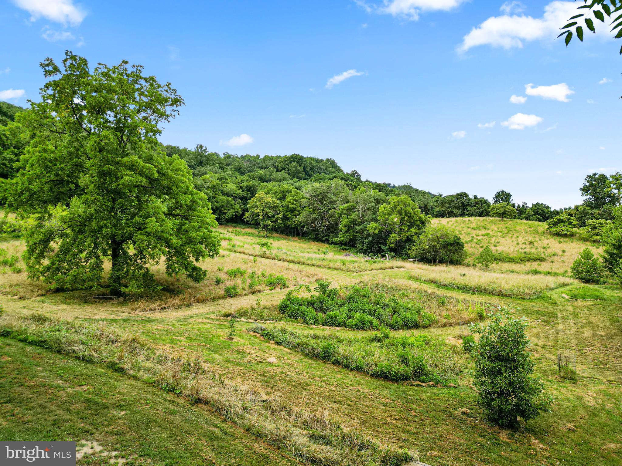 12336 Moss Hollow Road Markham, VA 22643 - Photo 40 of 43 Enjoy walks in the evening hours