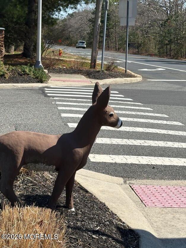 13 B Walnut Road Manahawkin, NJ 08050 - Photo 35 of 35 IMG_6888