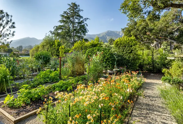 a view of a garden with flowers