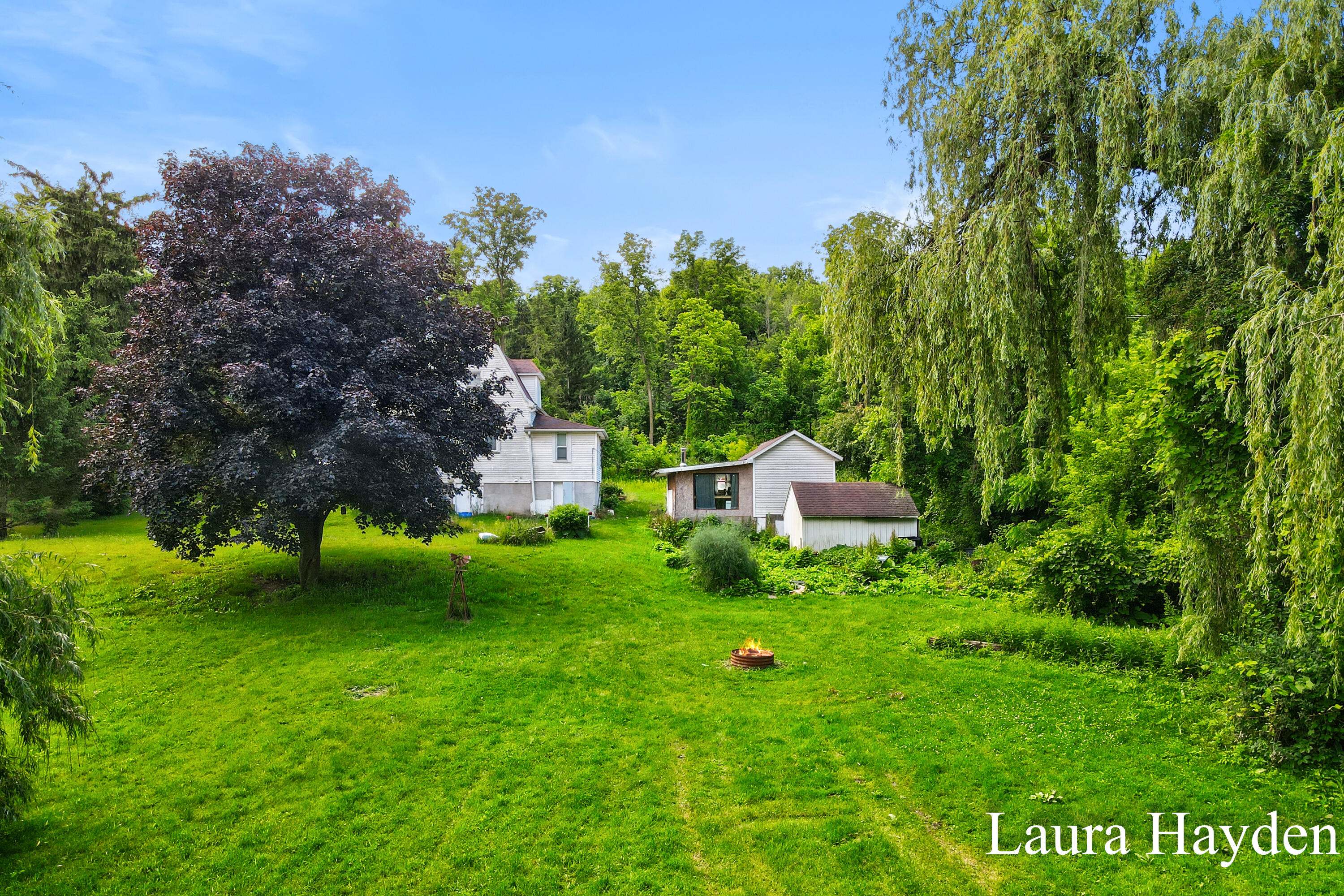 1367 East Riverside Drive Ionia, MI 48846 - Photo 4 of 46 Laura Hayden - 1367 Riverside Drive (46)