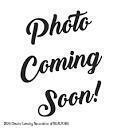 6535 Creyts Road Dimondale, MI 48821 - Photo 10 of 38 Photos Coming Soon