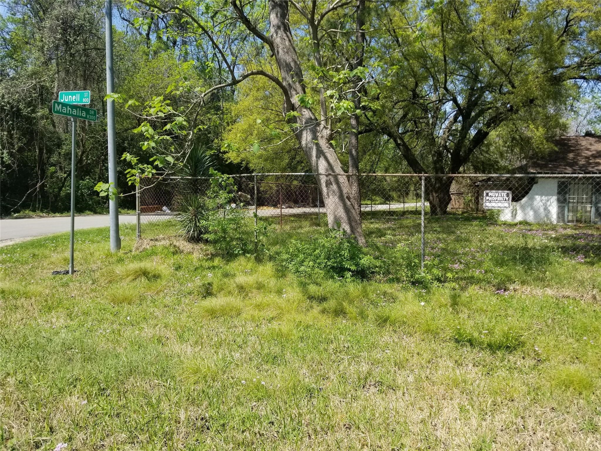 854 Junell Street Houston, TX 77088 - Photo 4 of 10 a garden view