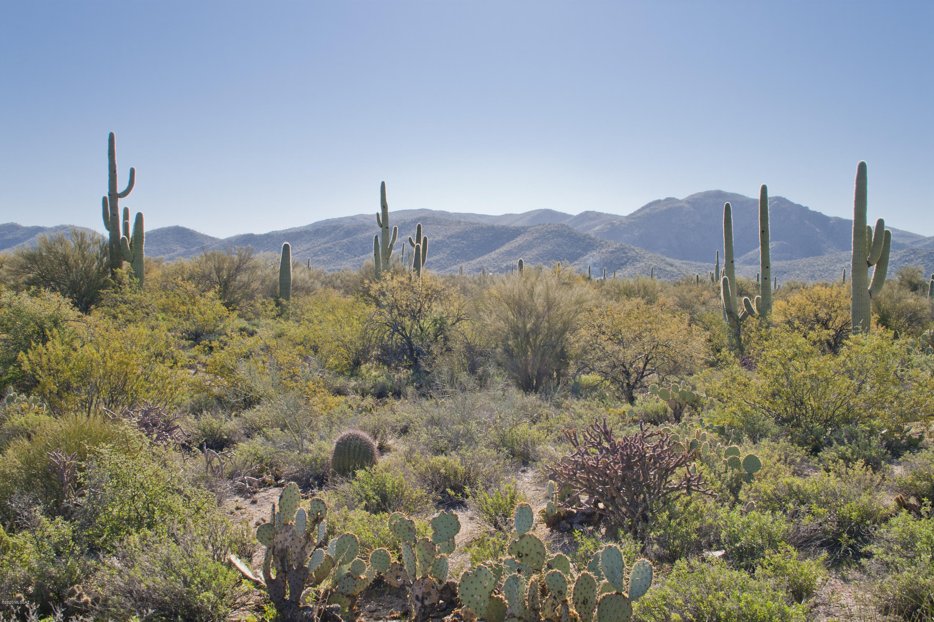 0 South Deerfield Road Marana, AZ 85658 - Photo 16 of 26