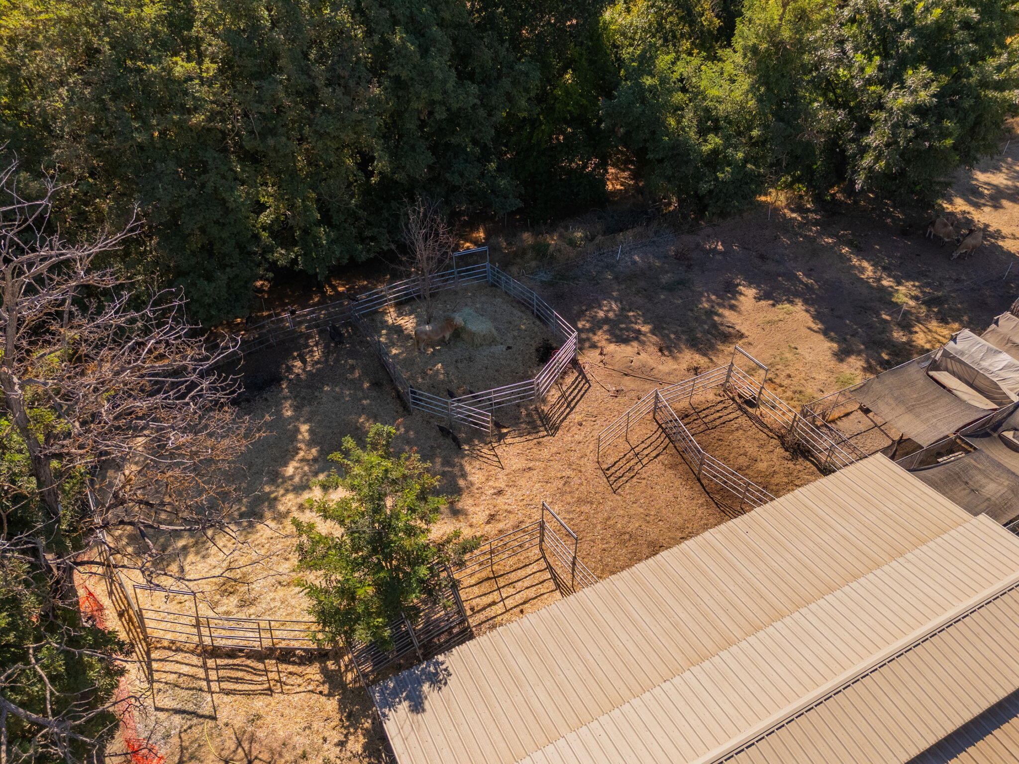 22945 Adobe Road Cottonwood, CA 96022 - Photo 22 of 40 a view of a yard