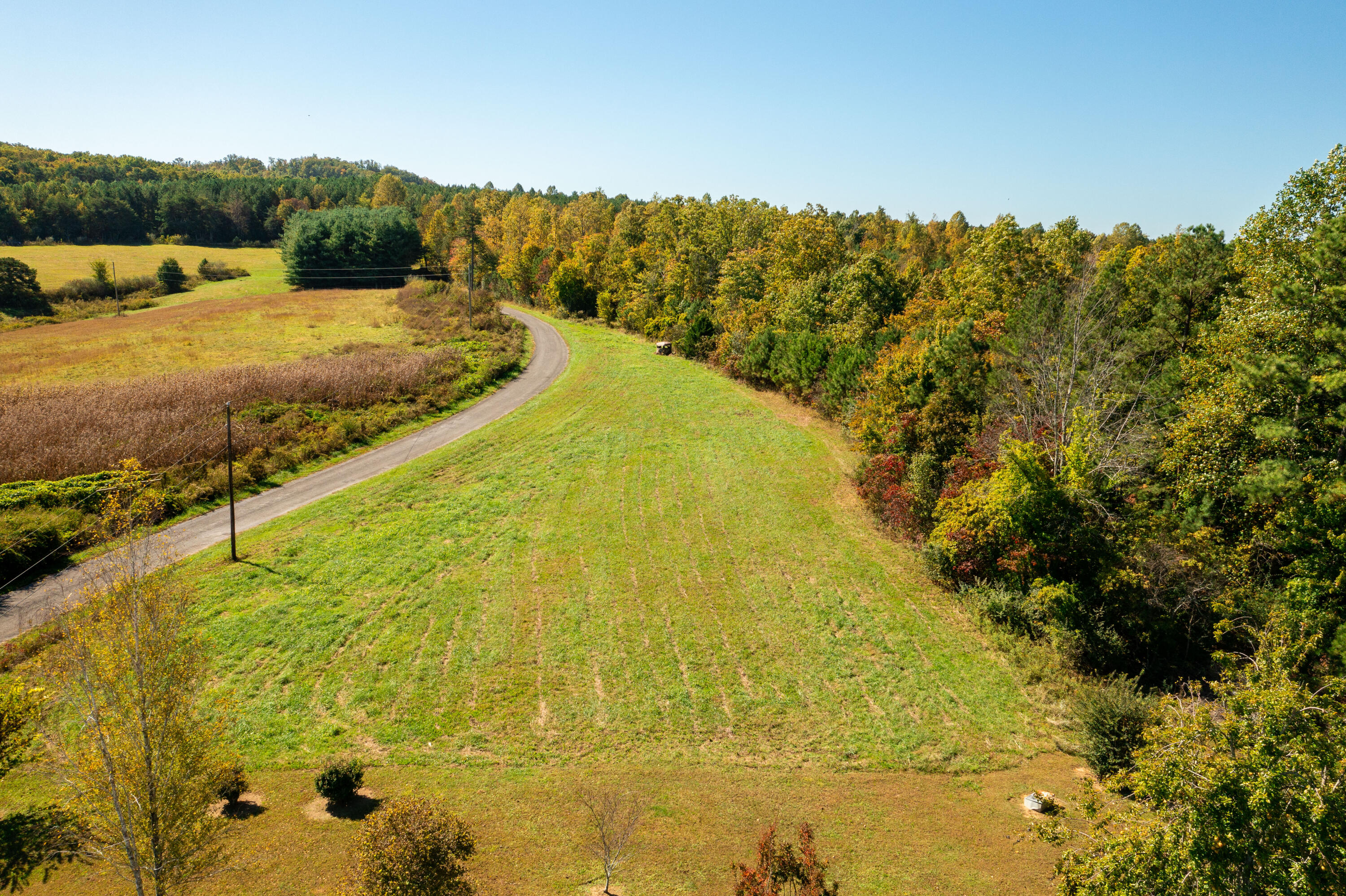 271 Doug Anderson Road Palmer, TN 37365 - Photo 19 of 24 DJI_0929