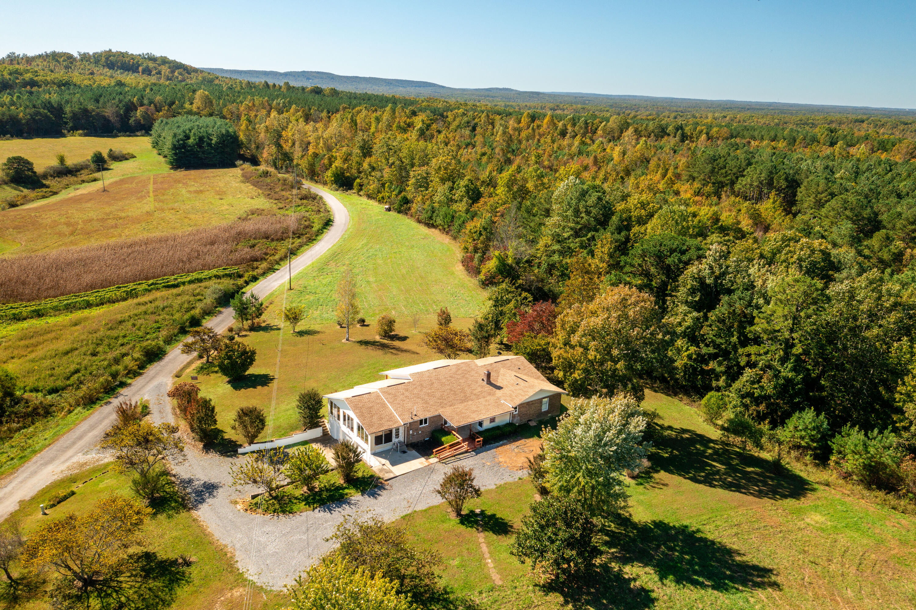 271 Doug Anderson Road Palmer, TN 37365 - Photo 4 of 24 DJI_0931