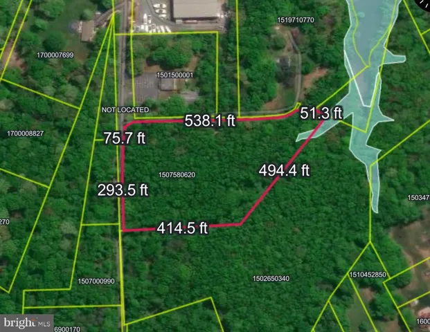 a view of a yard with plants and a small yard