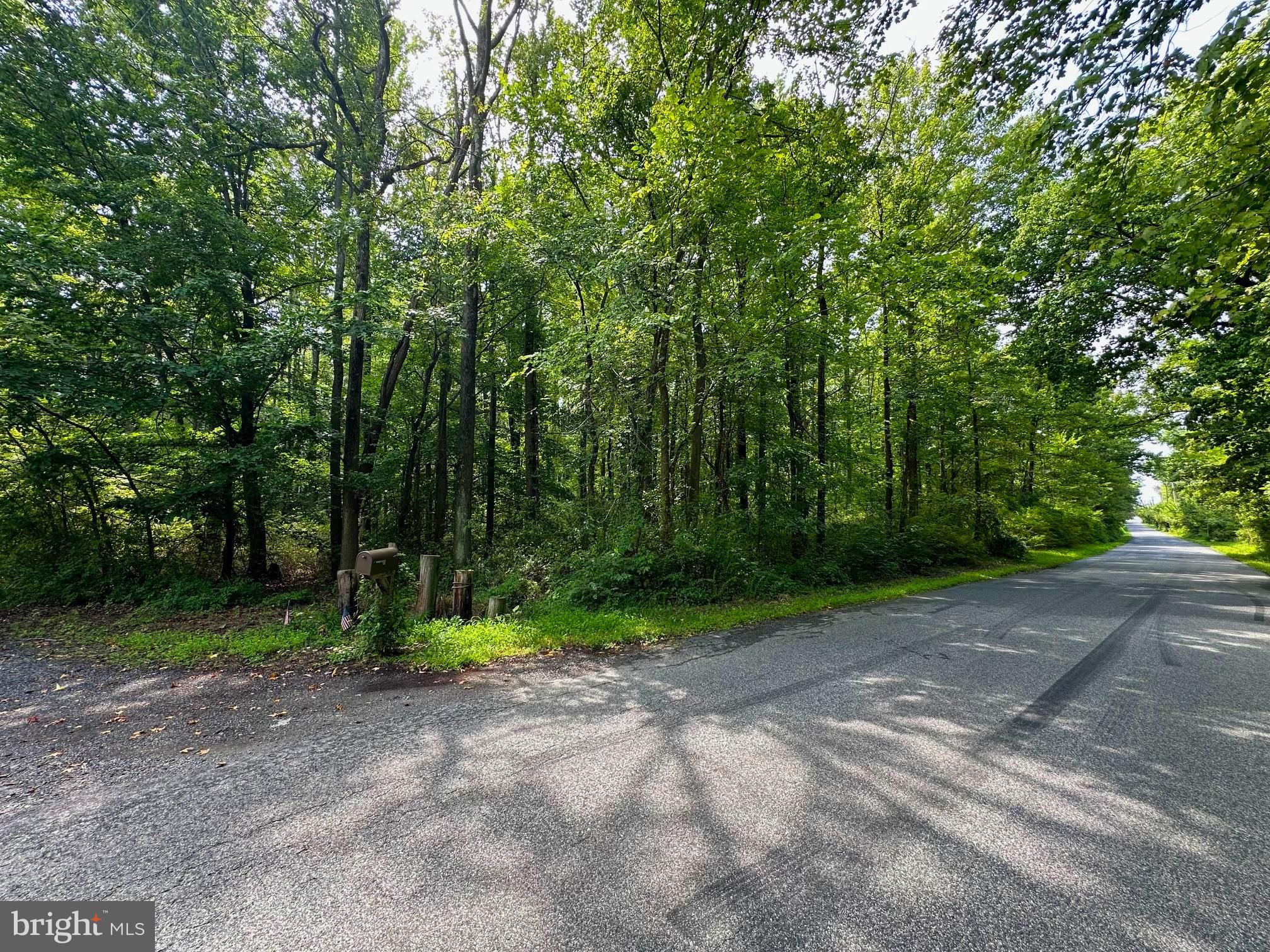 943 Browns Road Essex, MD 21221 - Photo 4 of 8 a view of a road with a tree