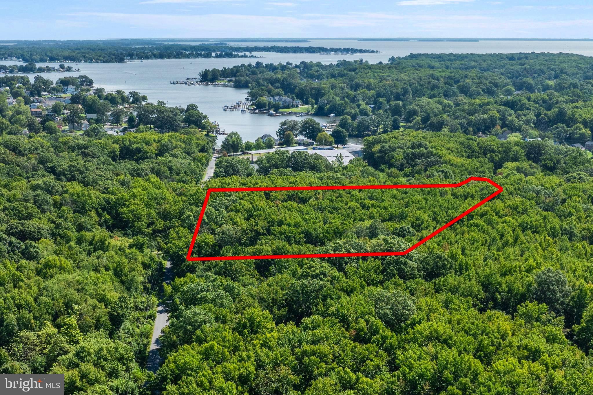 943 Browns Road Essex, MD 21221 - Photo 6 of 8 a view of a garden with a flower garden