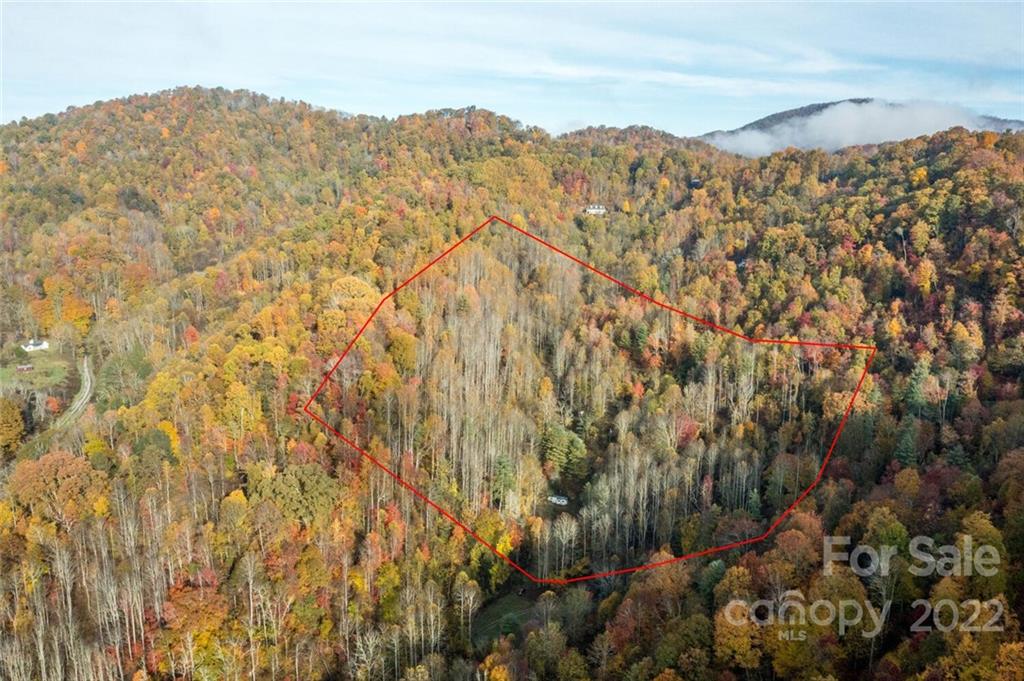 0 Fred Holcombe Road Mars Hill, NC 28754 - Photo 3 of 21 Gallery Image 3