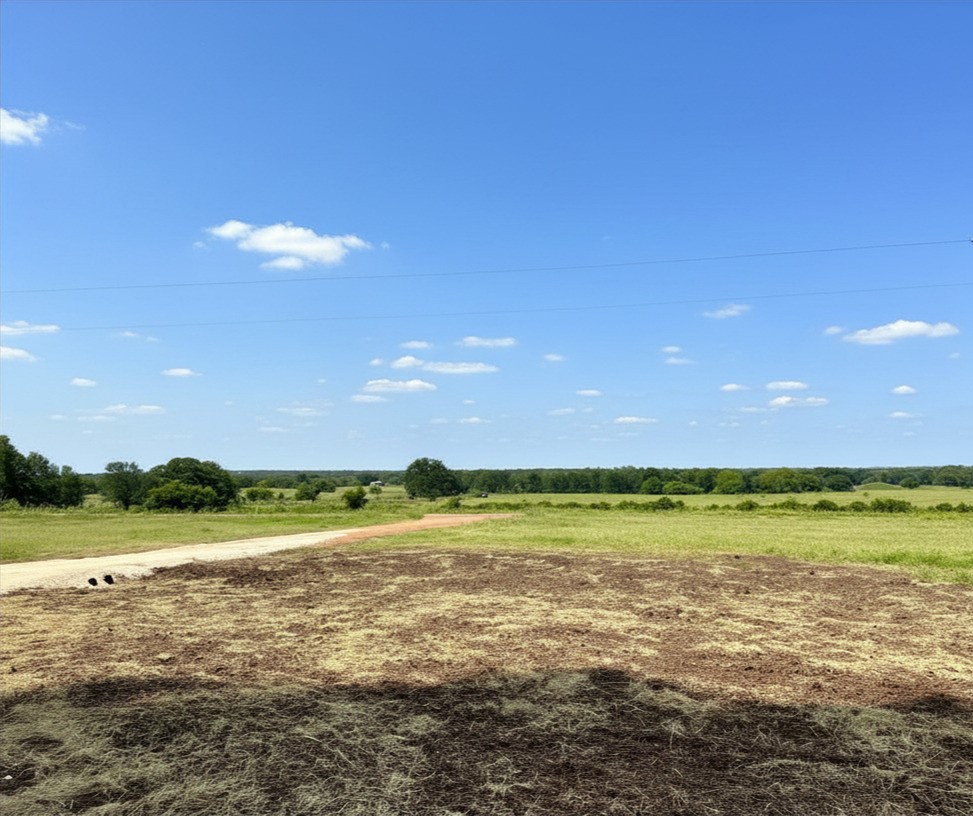 3880 Hranicky Road Schulenburg, TX 78956 - Photo 7 of 35 Serene view to the north from front