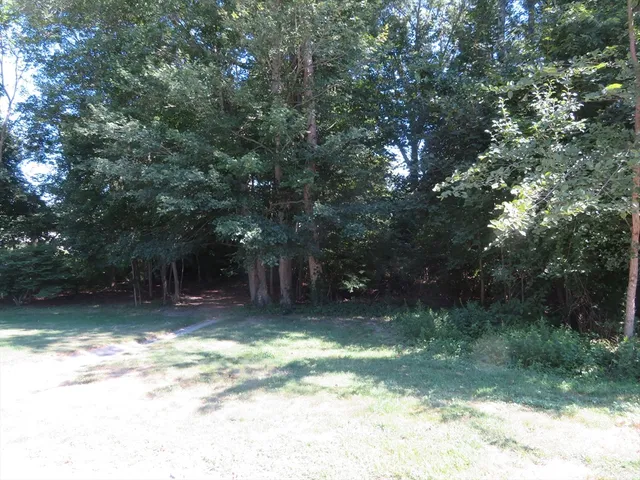 a view of a yard with a tree