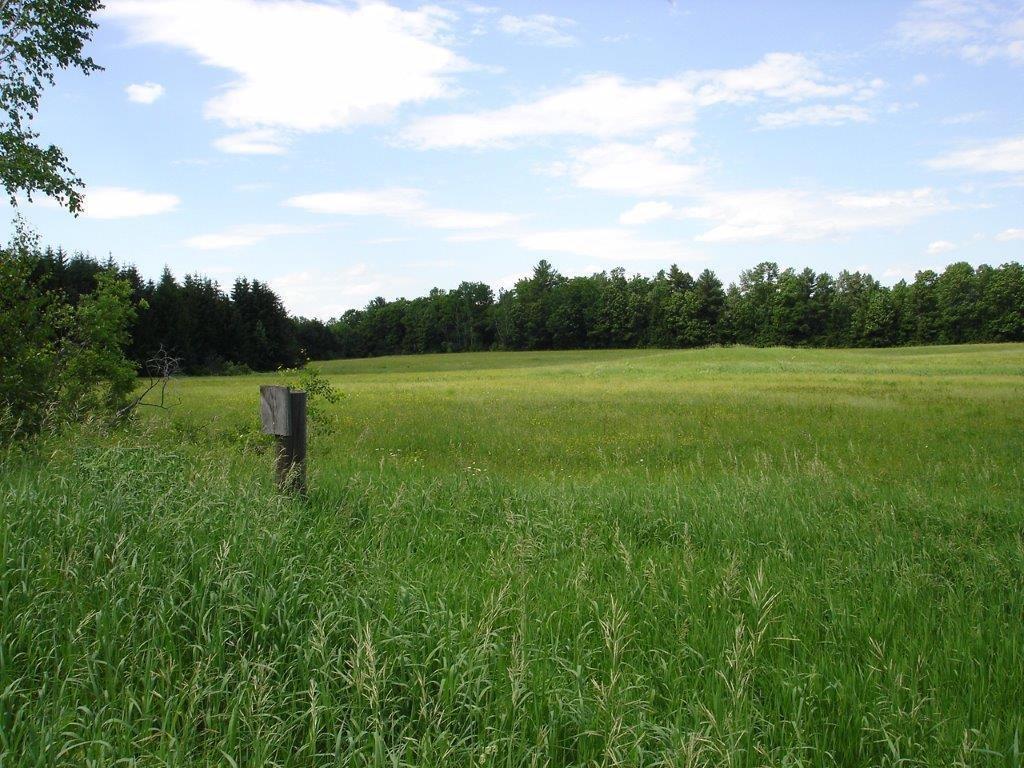 326 Taylor Road Winslow, ME 04901 - Photo 10 of 15 Land