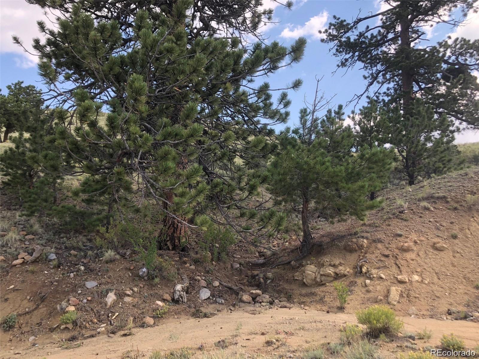 0 Hardwood Loop Hartsel, CO 80449 - Photo 4 of 15 a view of a yard with lots of bushes