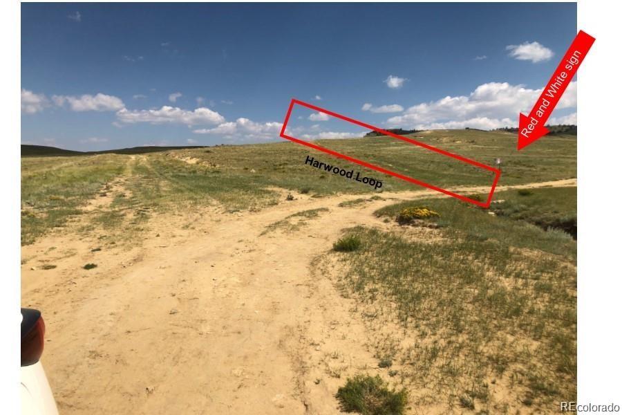 0 Hardwood Loop Hartsel, CO 80449 - Photo 8 of 15 a view of water heater room