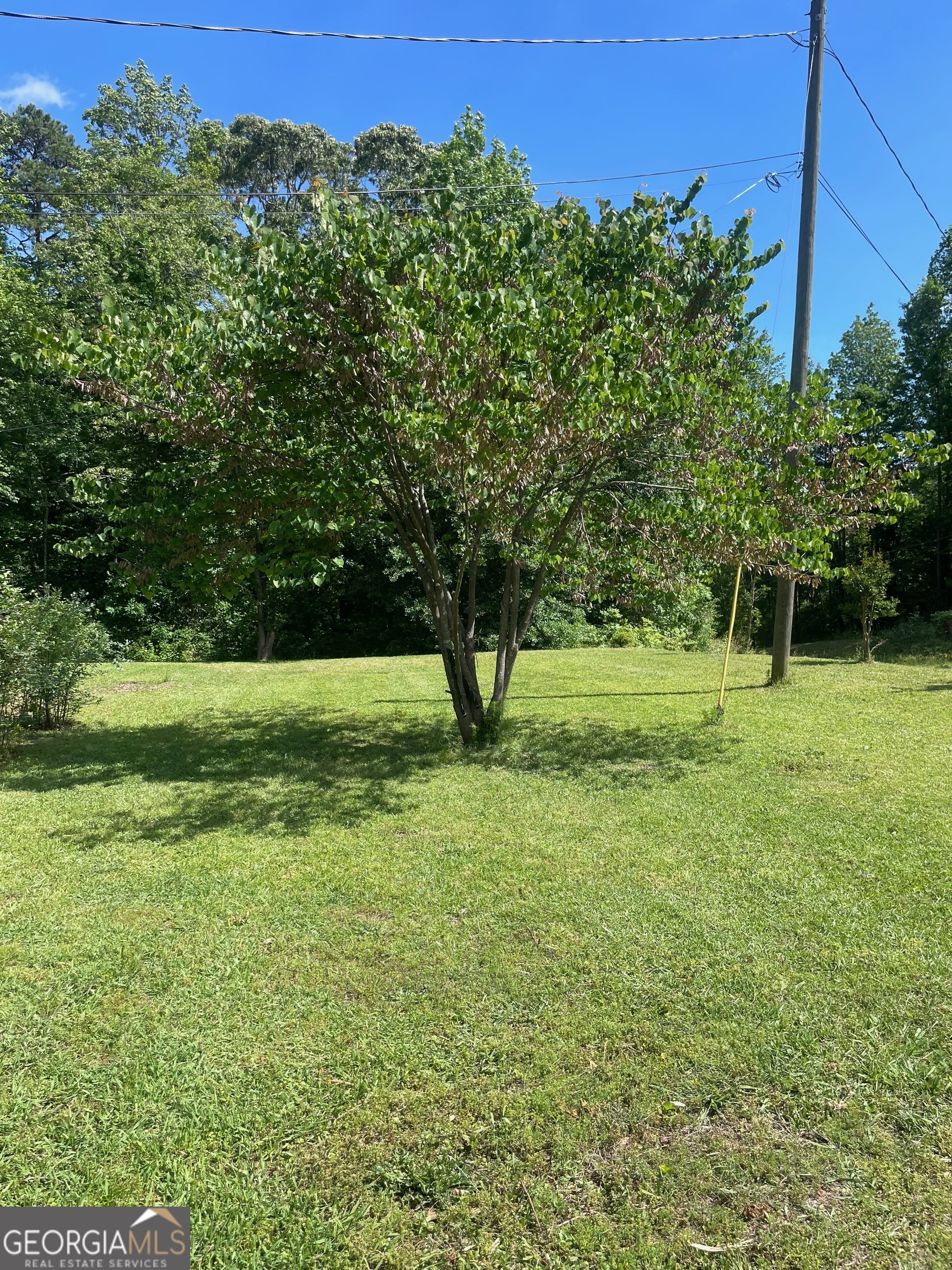 215 Old Mize Road Toccoa, GA 30577 - Photo 34 of 43 a view of a trees with a yard