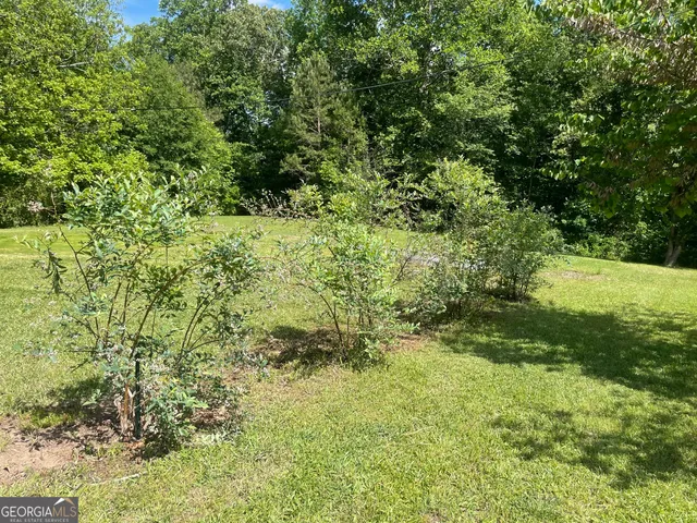 a view of yard with green space