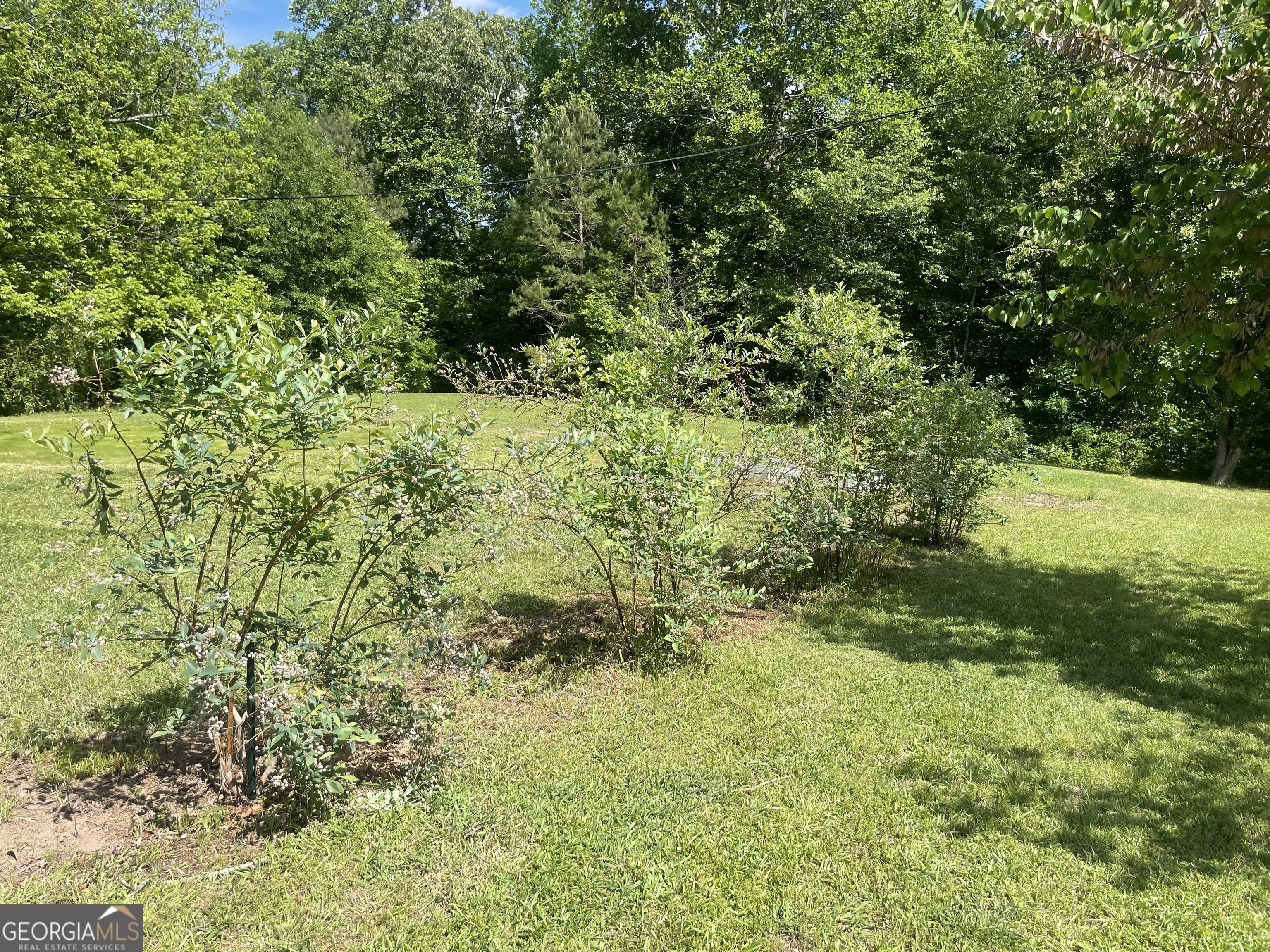 215 Old Mize Road Toccoa, GA 30577 - Photo 35 of 43 a view of yard with green space
