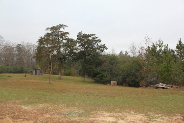 305 Woodrow Martin Road Brandon, MS 39042 - Photo 1 of 3 Photo 1