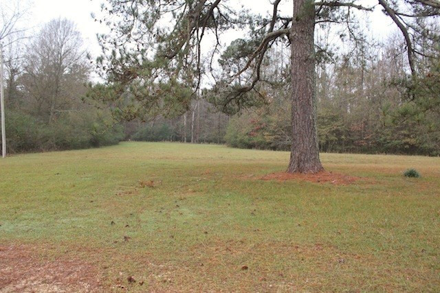 305 Woodrow Martin Road Brandon, MS 39042 - Photo 2 of 3 Photo 2