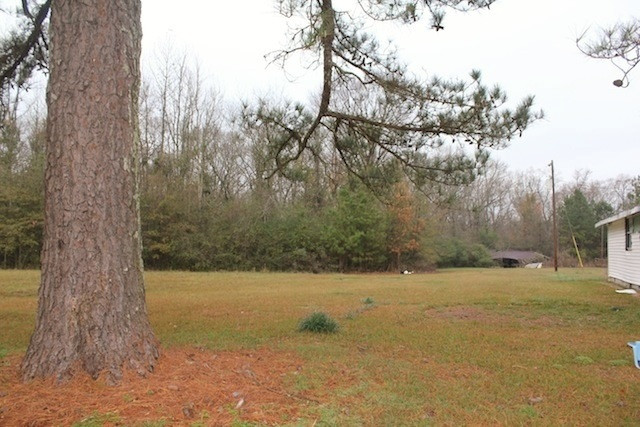 305 Woodrow Martin Road Brandon, MS 39042 - Photo 3 of 3 Photo 3