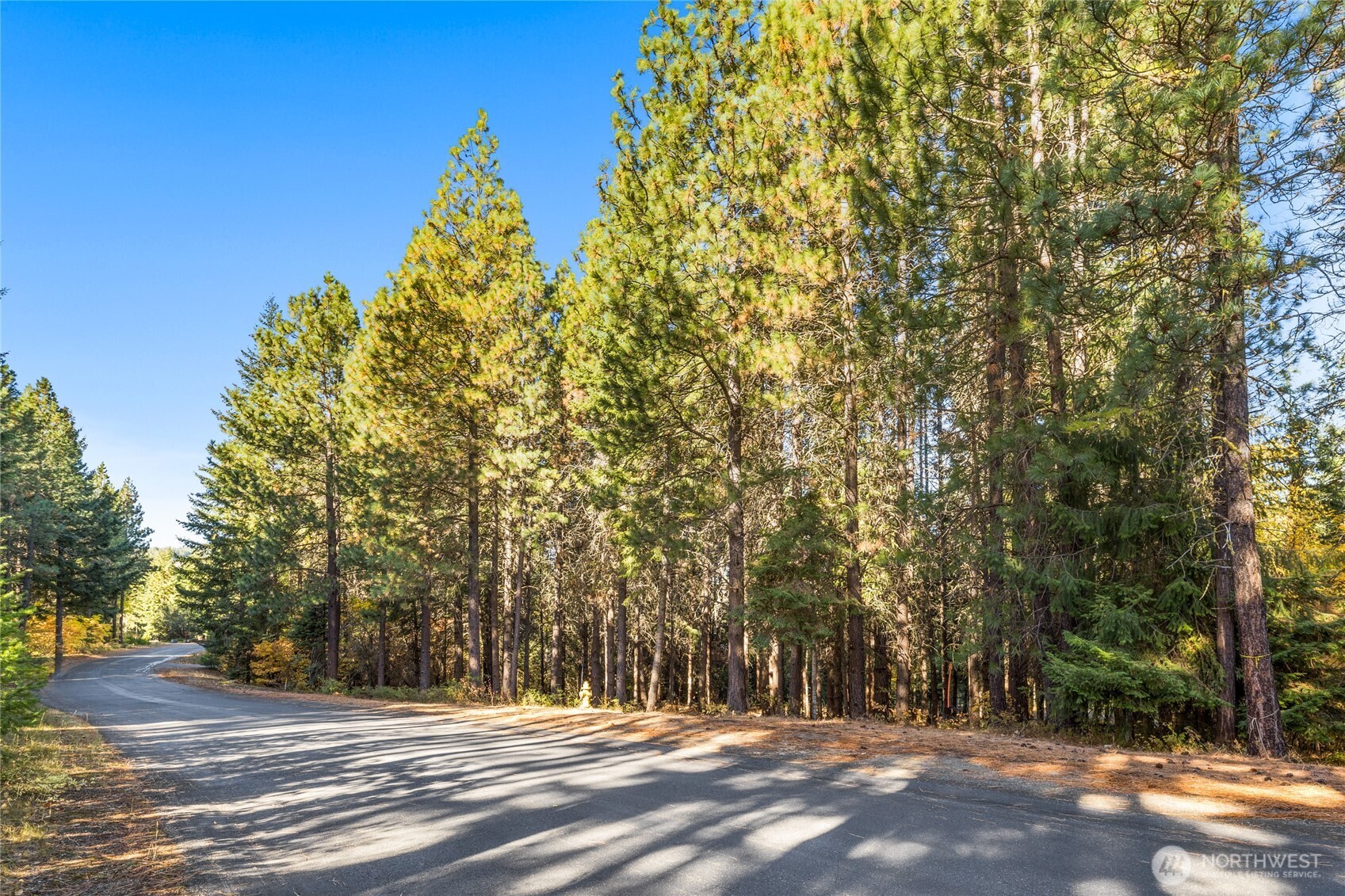 430 Iron Monarch Loop Cle Elum, WA 98922 - Photo 11 of 35 a view of a house with a tree