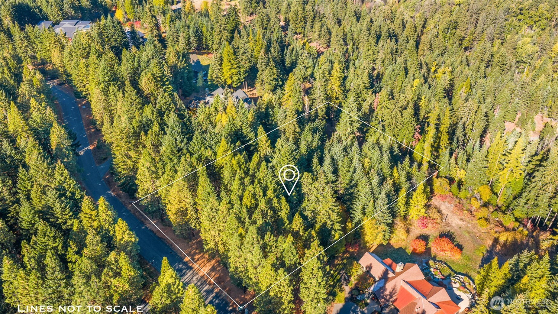 430 Iron Monarch Loop Cle Elum, WA 98922 - Photo 15 of 35 a view of a tree